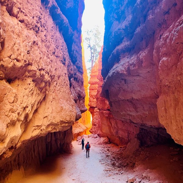 Utah Winter Vacation Lodge