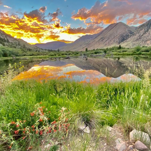 Utah Fall Colors - Copy