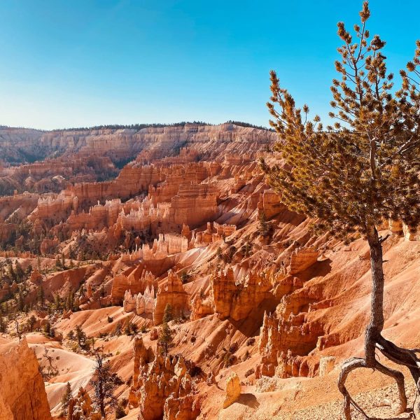 Southern Utah Family Vacation