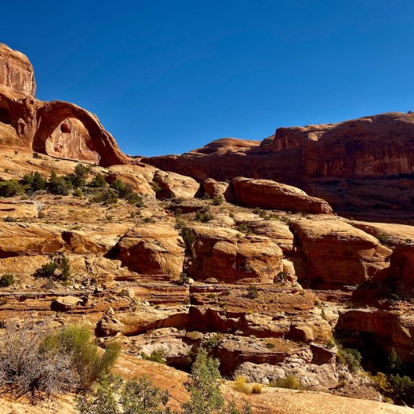 Best ATV and Jeep trails in Moab, Utah